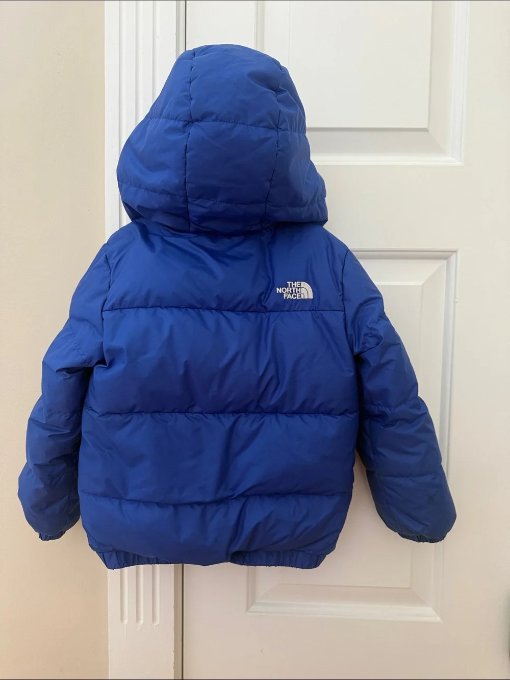 The North Face Kids Royal Blue Hooded Puffer Jacket